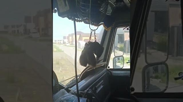 Акция"вывоз мусора".видео от сирожи. Акция"вывоз мусора".видео от сирожи.