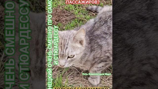 Только один- один кто-то? #юмор #честь #мудрость #смех #удачи #здоровье #жванецкий #деньги #дети Только один- один кто-то? #юмор #честь #мудрость #смех #удачи #здоровье #жванецкий #деньги #дети