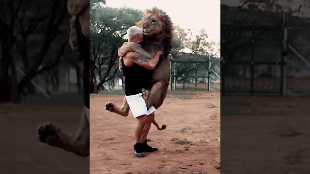 Lion jump Lion jump
