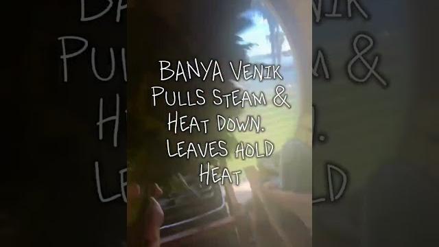 Family sauna sessions! Family sauna sessions!