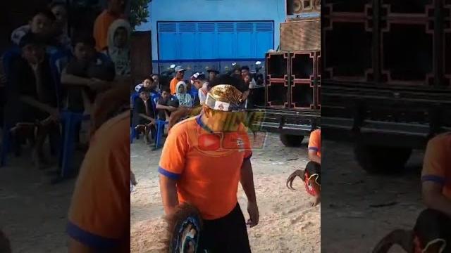 Sprj live sentong baran dampit Sprj live sentong baran dampit