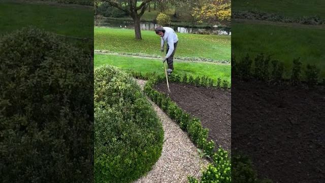 Garden maintenance at it's best! Garden maintenance at it's best!