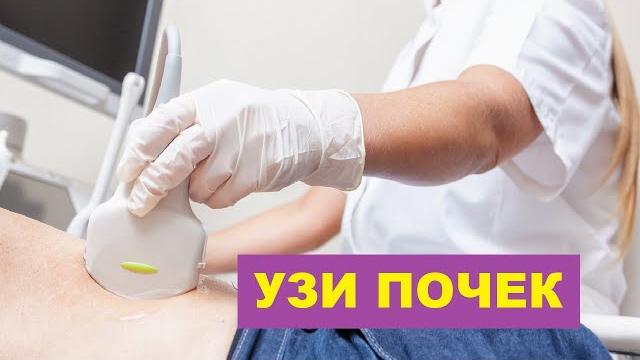 Узи почек. порядок выполнения Узи почек. порядок выполнения