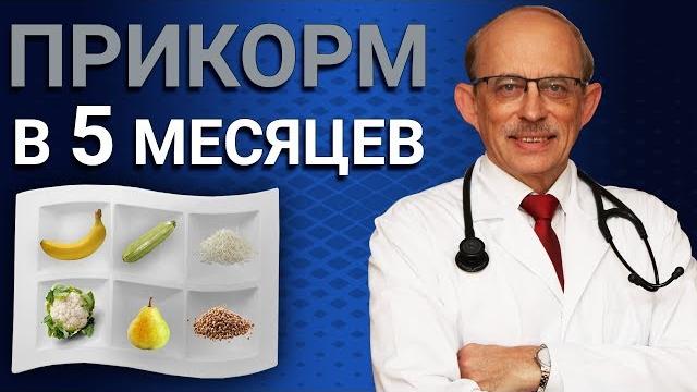 Первый прикорм ребенка в 5 месяцев. таблица, схема, меню малыша в возрасте 5 месяцев на гв или ив Первый прикорм ребенка в 5 месяцев. таблица, схема, меню малыша в возрасте 5 месяцев на гв или ив