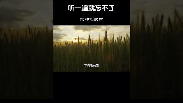 藏歌天籁,阿鲁阿卓一首《高原情歌》,美妙的歌声浓浓的高原味 藏歌天籁,阿鲁阿卓一首《高原情歌》,美妙的歌声浓浓的高原味