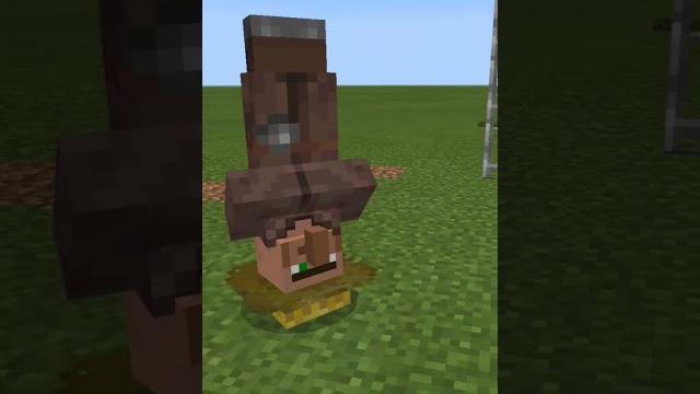How to do up side down in minecraft How to do up side down in minecraft