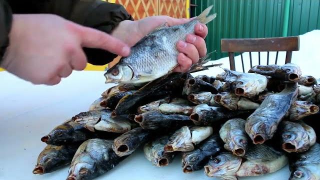 Как солить и сушить рыбу. простой способ засолки рыбы. как солить таранку. как вялить рыбу. Как солить и сушить рыбу. простой способ засолки рыбы. как солить таранку. как вялить рыбу.