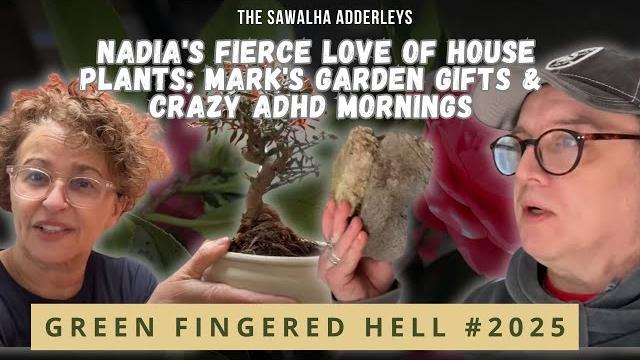 Green fingered hell 3 nadia's fierce love of house plants; mark's garden gifts & crazy adhd mornings Green fingered hell 3 nadia's fierce love of house plants; mark's garden gifts & crazy adhd mornings