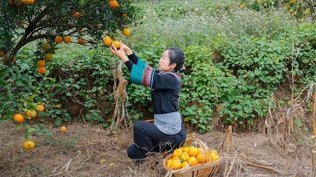 冬至就该吃点特别的东西【擂茶汤圆】 | 野小妹wild girl 冬至就该吃点特别的东西【擂茶汤圆】 | 野小妹wild girl