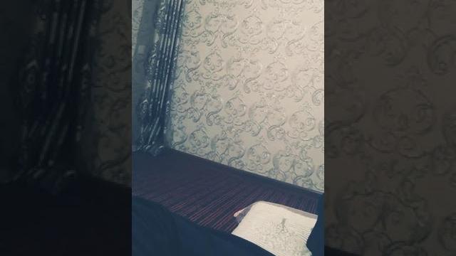 Porno Porno