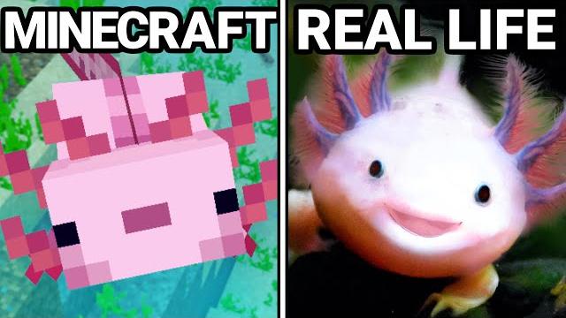 30 minecraft items vs real life! 30 minecraft items vs real life!