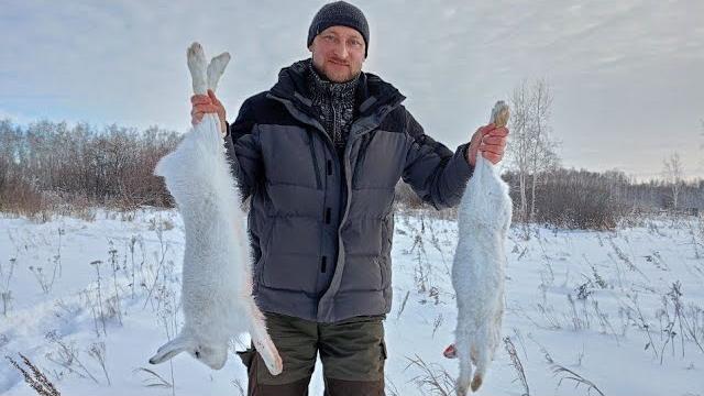 Тропление зайца беляка/заяц лежит до последнего #заяцбеляк #охотаназайца #hunting #охотанабобра # Тропление зайца беляка/заяц лежит до последнего #заяцбеляк #охотаназайца #hunting #охотанабобра #