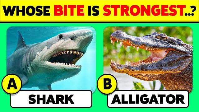 How well do you know animals? general knowledge trivia quiz How well do you know animals? general knowledge trivia quiz