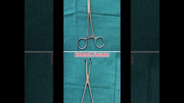 Babcock forceps #biology #hospital #science #baby #nursing #mbbs #doctor #shorts #video #minivlog Babcock forceps #biology #hospital #science #baby #nursing #mbbs #doctor #shorts #video #minivlog