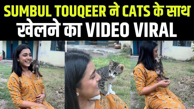 Sumbul touqeer ने cat के साथ शेयर किया वीडियो | harsh rajput | mishkat varma | fahmaan khan Sumbul touqeer ने cat के साथ शेयर किया वीडियो | harsh rajput | mishkat varma | fahmaan khan