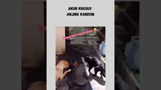 Di perkosa Di perkosa