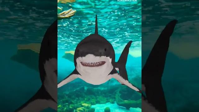 Moon fish facts. #shorts #facts #knowledge #education #moonfish #fish #3danimation #entertainment Moon fish facts. #shorts #facts #knowledge #education #moonfish #fish #3danimation #entertainment