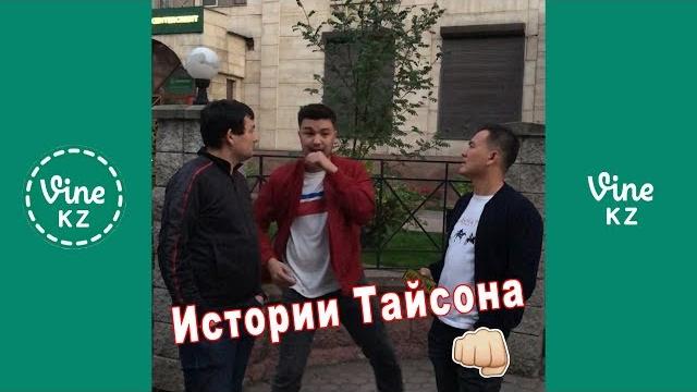Истории тайсона 1 - 12 серии Истории тайсона 1 - 12 серии