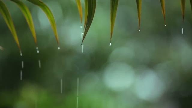 1小時最佳聽雨睡眠,最適合睡覺的雨聲,助眠雨聲純大自然下雨聲音 1小時最佳聽雨睡眠,最適合睡覺的雨聲,助眠雨聲純大自然下雨聲音