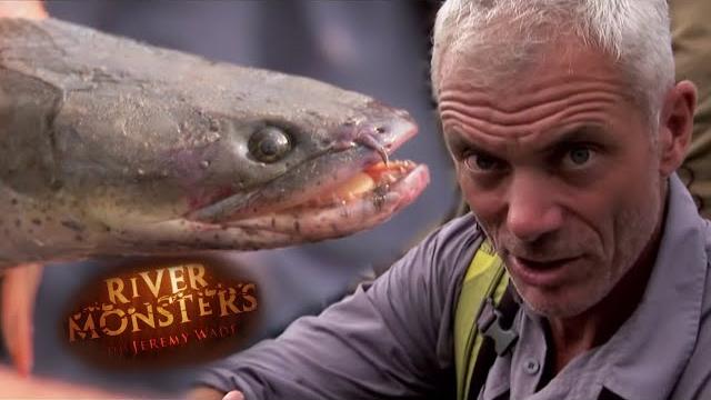 Inside a congolese waterside market | river monsters Inside a congolese waterside market | river monsters