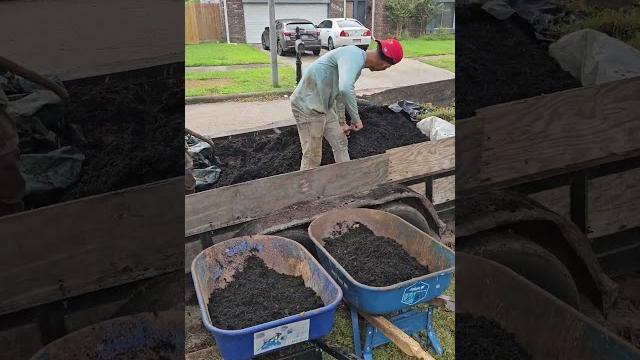 Relaxing front yard asmr transformation Relaxing front yard asmr transformation