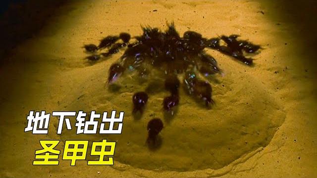 地面鑽出無數甲蟲,人瞬間被吞噬掉,科幻,奇幻,電影,解說,獵奇,懸疑,冒險,超能力,木乃伊 地面鑽出無數甲蟲,人瞬間被吞噬掉,科幻,奇幻,電影,解說,獵奇,懸疑,冒險,超能力,木乃伊
