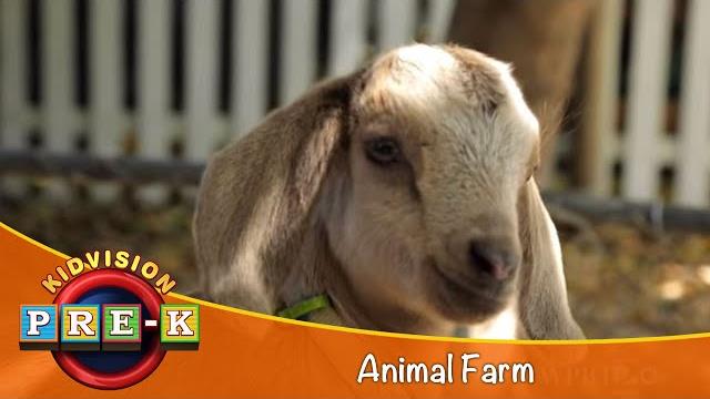 Animal farm | virtual field trip | kidvision pre-k Animal farm | virtual field trip | kidvision pre-k