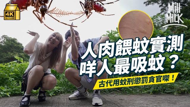 #mm|實測人肉餵蚊!傳聞o型血最吸蚊 事實係體溫高最惹蚊?古代用蚊刑懲罰貪官?蚊有冇記憶力同智商?實試坊間流傳diy滅蚊法外國發明用激光大炮滅蚊?|#weekly_pedia #4k #mm|實測人肉餵蚊!傳聞o型血最吸蚊 事實係體溫高最惹蚊?古代用蚊刑懲罰貪官?蚊有冇記憶力同智商?實試坊間流傳diy滅蚊法外國發明用激光大炮滅蚊?|#weekly_pedia #4k