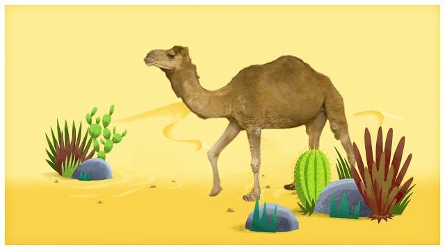 Animal songs: "walk like a camel," by storybots | netflix jr Animal songs: "walk like a camel," by storybots | netflix jr