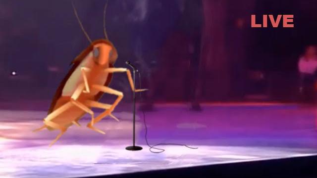 Dancing roach | live in concert Dancing roach | live in concert
