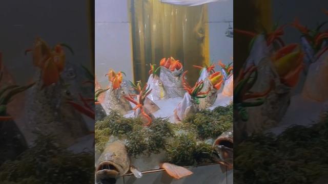 Laki ng isda sa bacolod!#viral #trending #youtube #travel #shortvideo #viralvideo #shorts #short Laki ng isda sa bacolod!#viral #trending #youtube #travel #shortvideo #viralvideo #shorts #short