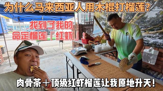 为什么马来西亚人用木棍打榴莲?找到了我的命定榴莲【红虾】!肉骨茶+顶级红虾榴莲让我原地升天!感谢您一路的支持【sean的世界tv】频道,欢迎加入我的会员频道,谢谢您一路的陪伴! 为什么马来西亚人用木棍打榴莲?找到了我的命定榴莲【红虾】!肉骨茶+顶级红虾榴莲让我原地升天!感谢您一路的支持【sean的世界tv】频道,欢迎加入我的会员频道,谢谢您一路的陪伴!