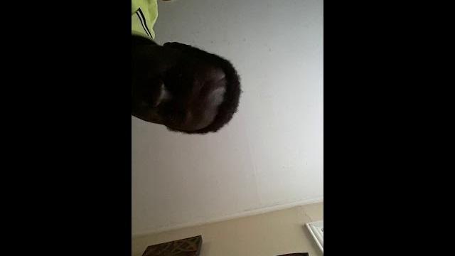 Yung mango - live bars Yung mango - live bars