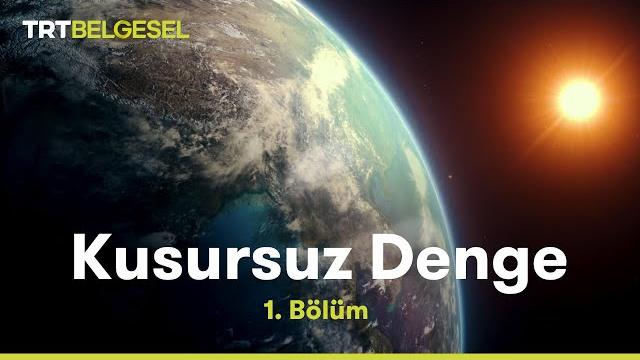 Kusursuz denge | dünya | trt belgesel Kusursuz denge | dünya | trt belgesel