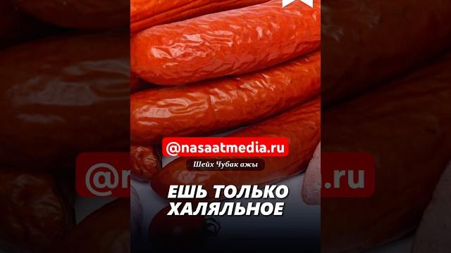 Ешь только халяльное. #насаатмедиа #rec #rek #film #шейх_чубак_ажы #live #чубакажы #ислам #насаат Ешь только халяльное. #насаатмедиа #rec #rek #film #шейх_чубак_ажы #live #чубакажы #ислам #насаат