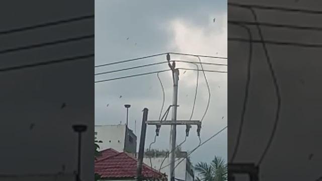Sp. abg dahsyat di daerah lampung Sp. abg dahsyat di daerah lampung