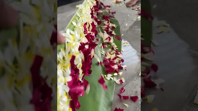 Home decorating ideas #nature #video #trend #shortvideo Home decorating ideas #nature #video #trend #shortvideo