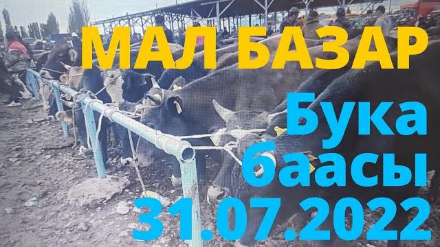 Бука баасы каракол мал базар 31-июль 2022 г. Бука баасы каракол мал базар 31-июль 2022 г.