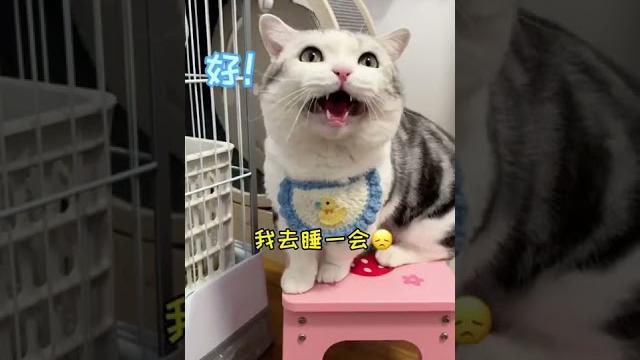 【雪球日记】新生命诞生,大家给兔宝宝取个名字吧! 【雪球日记】新生命诞生,大家给兔宝宝取个名字吧!
