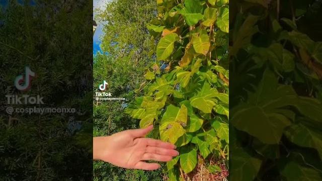 Outfit change tiktok 2023| nobra challenge | no bra 2023 hot girl #shorts #nobrachallenge #nobra Outfit change tiktok 2023| nobra challenge | no bra 2023 hot girl #shorts #nobrachallenge #nobra