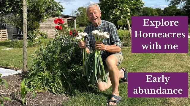 Spring was warm and harvests are happening, sow now for succession and no dig means quick replanting Spring was warm and harvests are happening, sow now for succession and no dig means quick replanting