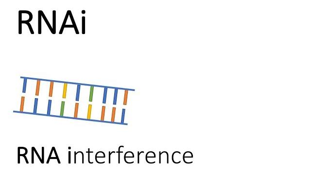Rnai - rna interference Rnai - rna interference