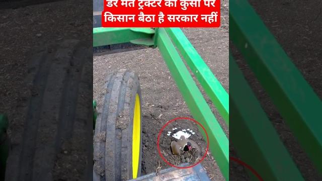 #trending #trendingshorts #viralvideo #volg #shortvideo #shorts #trending #trendingshorts #viralvideo #volg #shortvideo #shorts