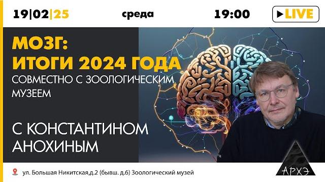 Константин анохин - мозг: итоги 2024 года Константин анохин - мозг: итоги 2024 года