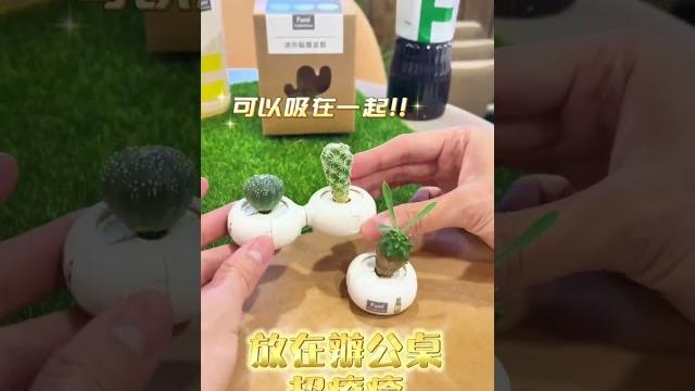 大受好評的全家famicollection #全家familymart 大受好評的全家famicollection #全家familymart