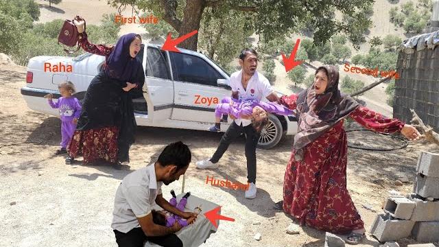 سبز! سبز!