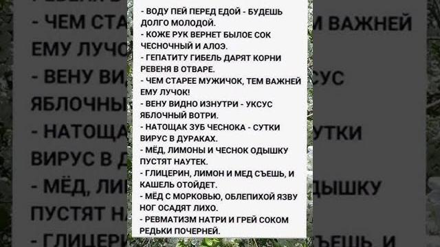 Как бабушка изменила мою жизнь одной фразой Как бабушка изменила мою жизнь одной фразой