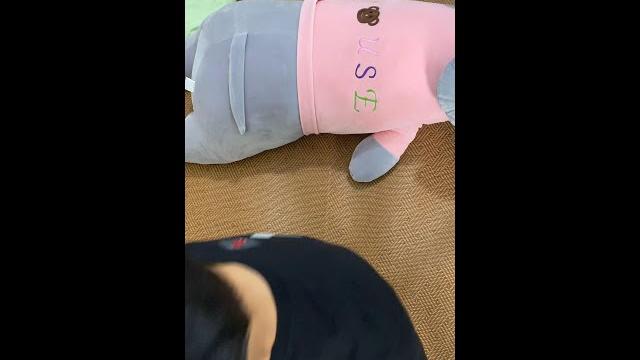 想不到我的计划这么好竟然会被妈妈识穿 想不到我的计划这么好竟然会被妈妈识穿