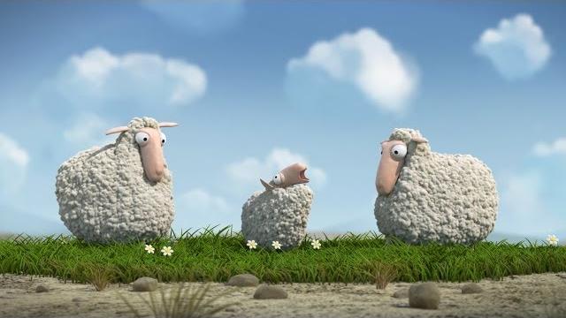 Lambs Lambs