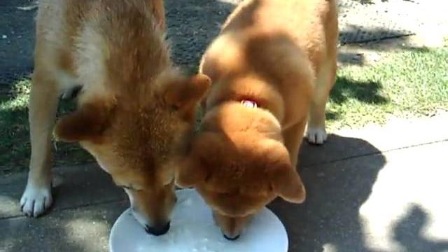 プハァ~!"ごちです。 プハァ~!"ごちです。